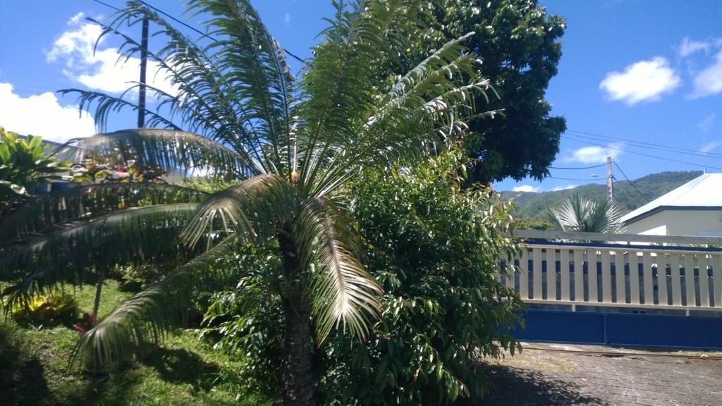 Les Bungalows Du Mont-Auban Sainte Clotilde Exterior photo